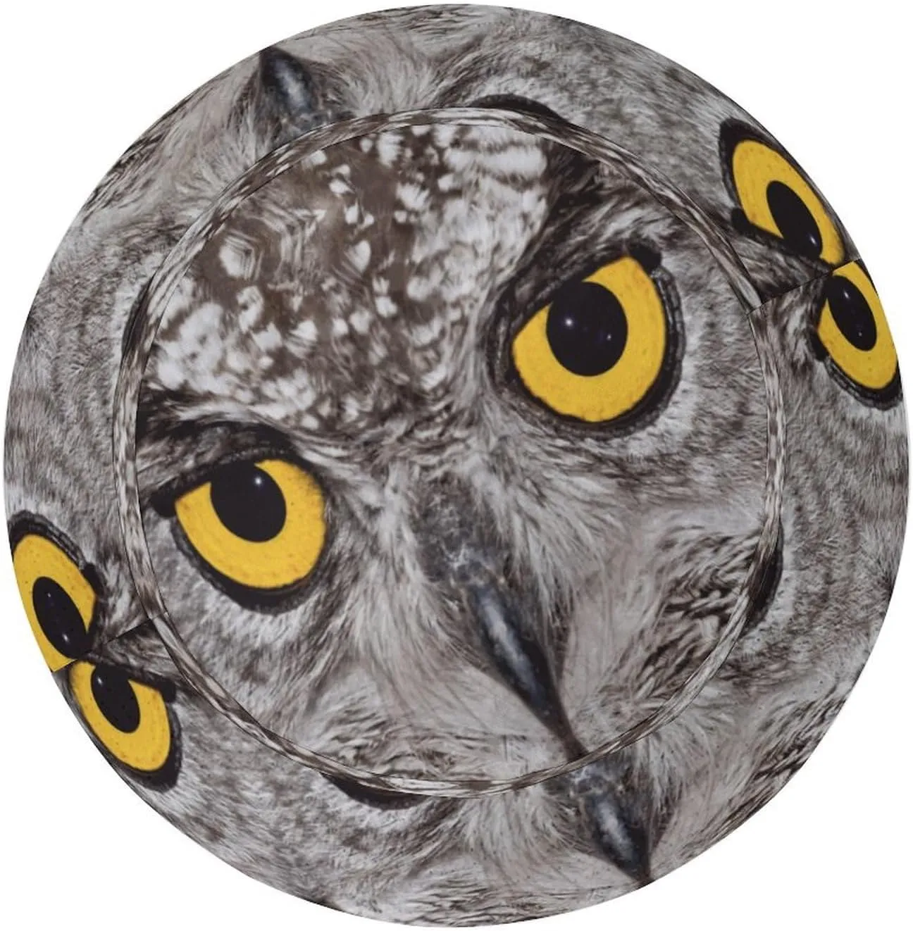 Colorful Owl Head Bucket Hat for Men Women Packable Fisherman Hat Sun Cap Outdoor Travel Beach Caps