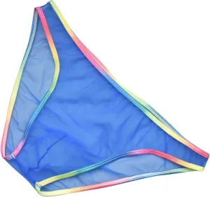 Mens Sexy Briefs Mesh See Through Lingerie Low Rise Underwear U Shaped Pouch Fun Underwear Comfort Breathable Panties